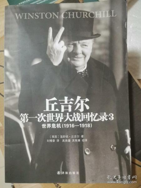 世界大战丛书·丘吉尔第一次世界大战回忆录3：世界危机（1916-1918）