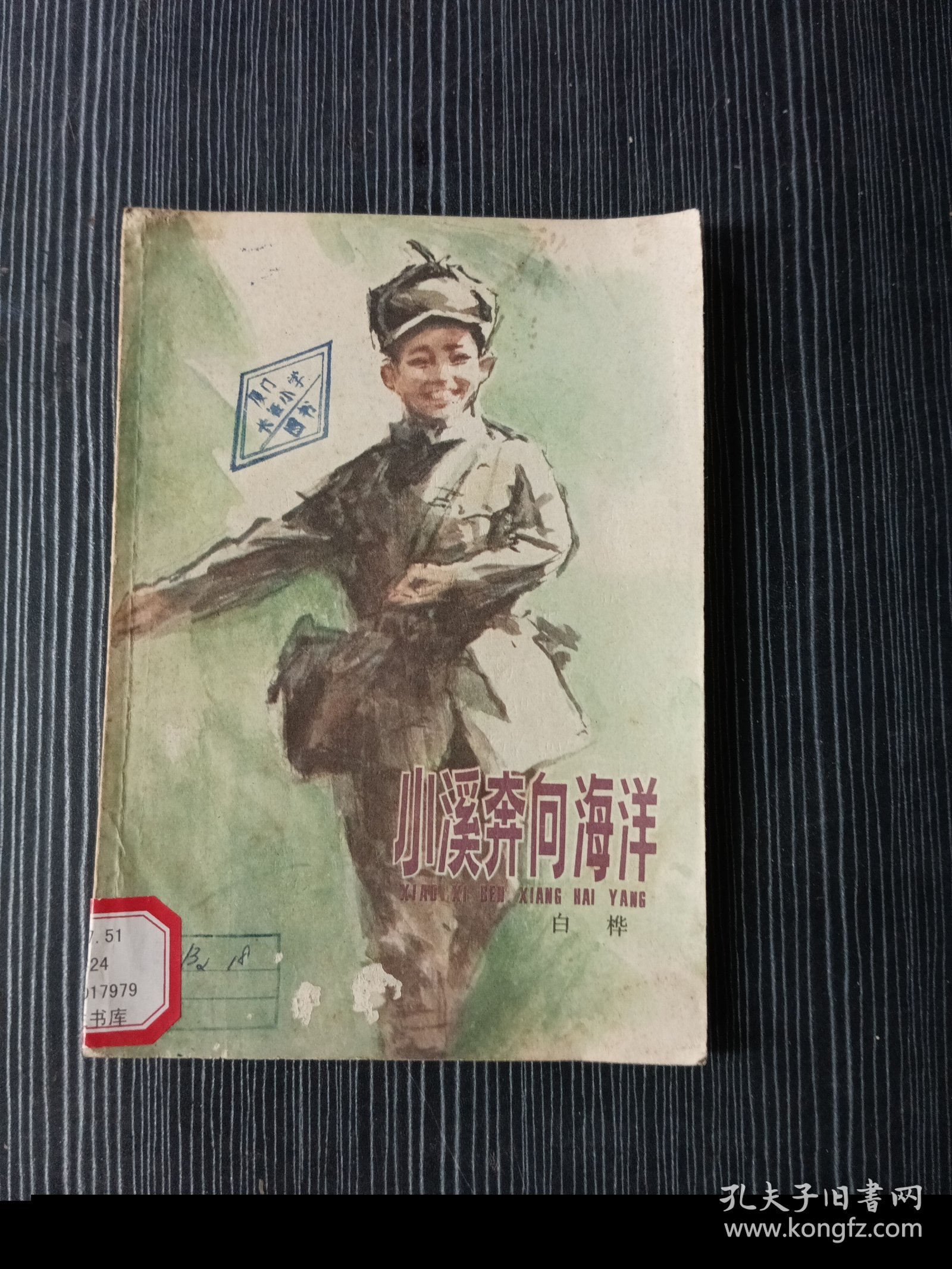 小溪奔向海洋 插图本