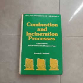 Combustion and Incineration Processes