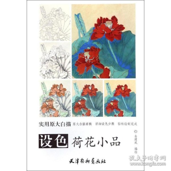 设色荷花小品