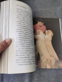 成龙：还没长大就老了