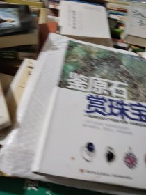 鉴原石 赏珠宝