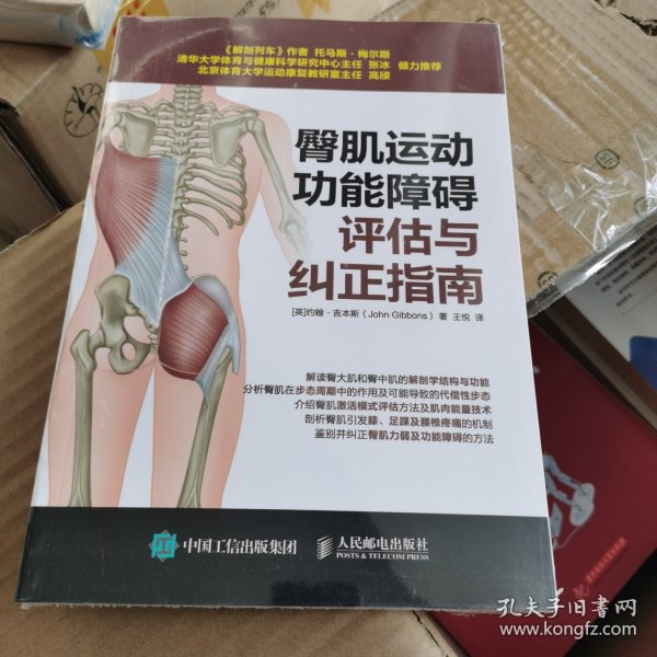 臀肌运动功能障碍评估与纠正指南