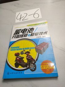 电动自行车维修自学速成：蓄电池开盖维修与修复技术