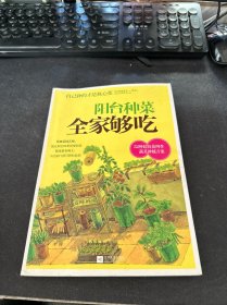 阳台种菜全家够吃