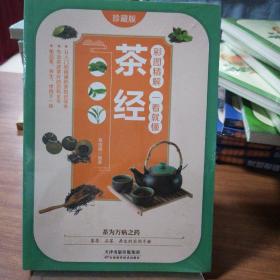 彩图精解一看就懂茶经 中华茶道茶文化知识书籍 茶道入门 茶艺书 茶艺师培训教材 中国茶经 茶之书 茶味的初相 中华国学经典精粹 中医养生经典 青少年课外阅读