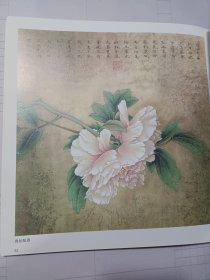 李晓明工笔花鸟作品精选：彩墨世界