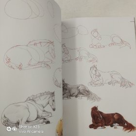 How to Draw: Animals: in simple steps