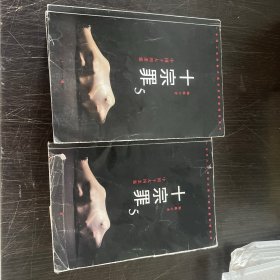 十宗罪5：中国十大凶杀案 正版带防伪彩页，单本的价格