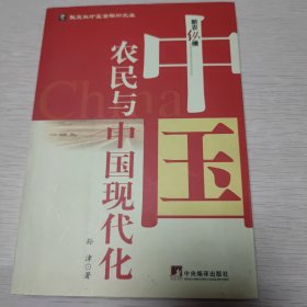 中国农民与中国现代化