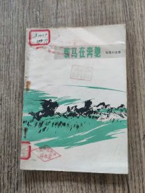 骏马在奔驰