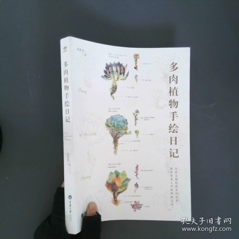 多肉植物手绘日记