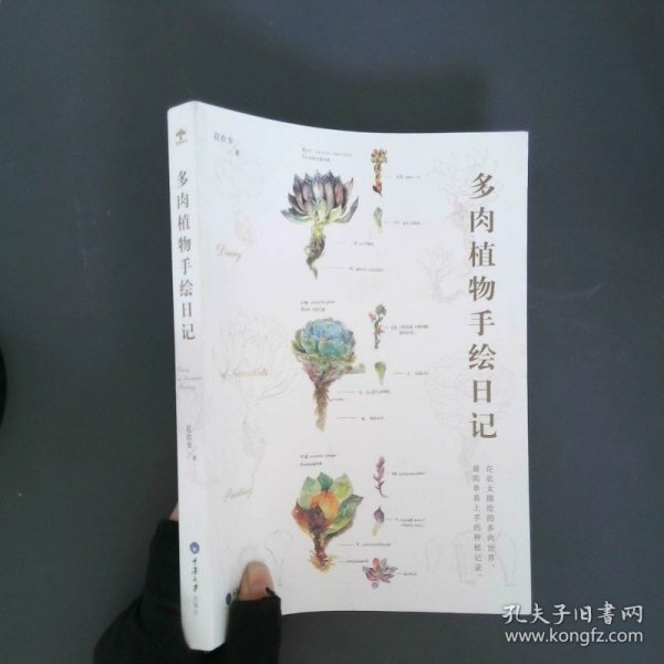 多肉植物手绘日记