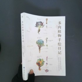 多肉植物手绘日记
