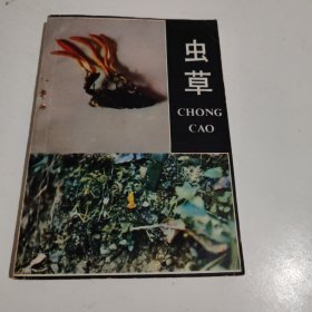 蟲(chóng)草