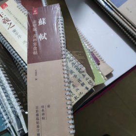 近距离临摹字帖，练习卡，苏轼赤壁府黄州寒寒食帖