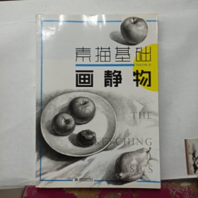 素描基础：画静物