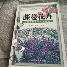 藤蔓花卉