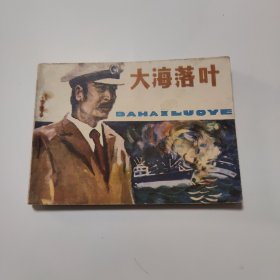 大海落叶