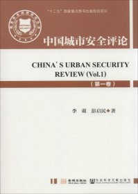 国家安全战略研究丛书：中国城市安全评论（第一卷）