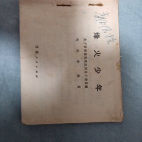 烽火少年(残书)
