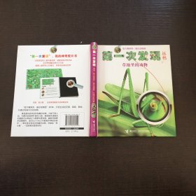 第一次发现丛书·放大镜系列：草地里的动物