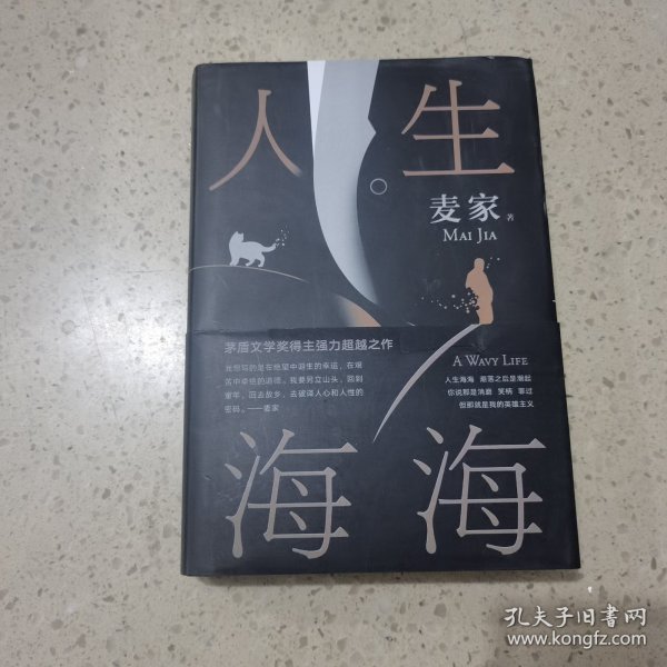 麦家：人生海海（茅盾文学奖得主麦家2019年强力之作）