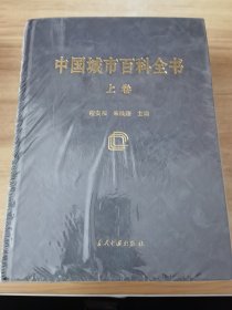 中国城市百科全书（上下卷 附录卷）三本合售