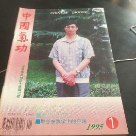 中国气功杂志(95年第1至12期，共12本。3袋上)