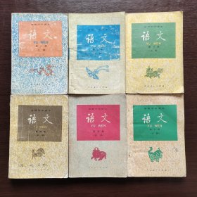 80后 90九十年代2000年高中语文课本，人教社正版 高级中学课本语文 一套6册 (必修），使用过不缺页 实物拍摄