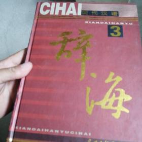 现代汉语辞海（3）
