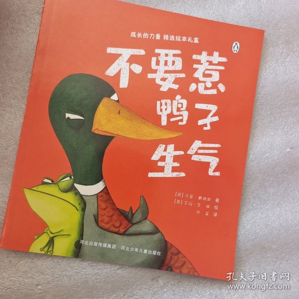 不要惹鸭子生气