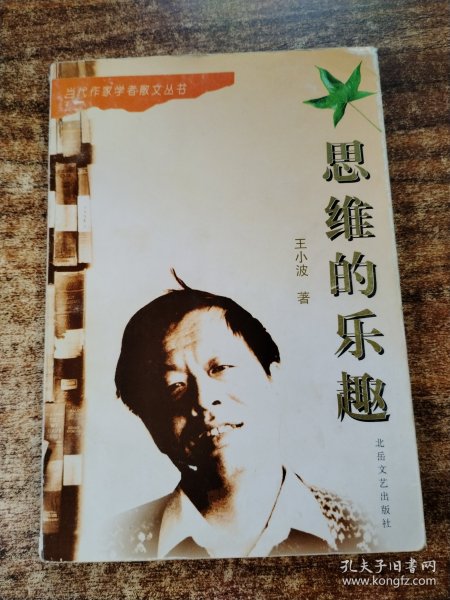 思维的乐趣：当代作家学者散文丛书