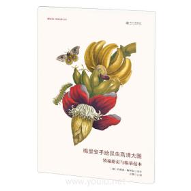 梅里安手绘昆虫高清大图：装裱册页与临摹范本/博物文库·博物画临摹与创作