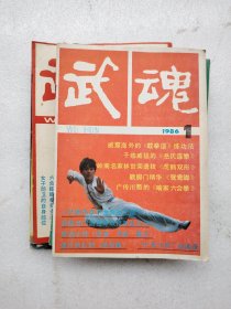 武魂 杂志 共15本