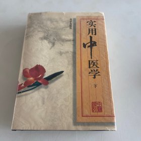 实用中医学 下