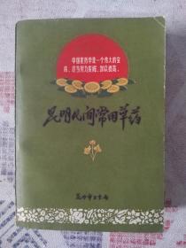 昆明民间常用草药