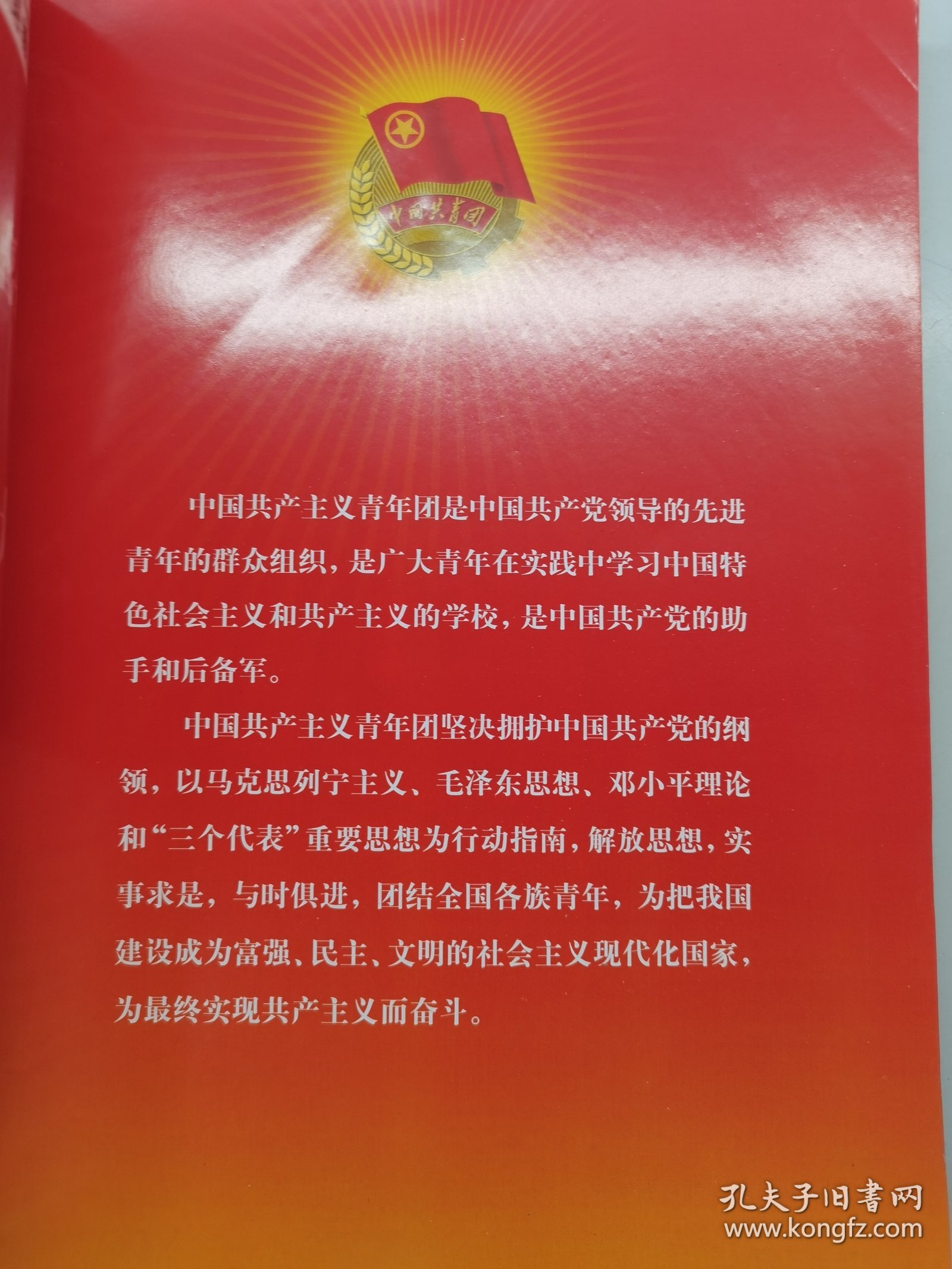 点击查看原图 与祖国共奋进。中国共产主义青年团第16次全国代表大会。 中华儿女特刊。