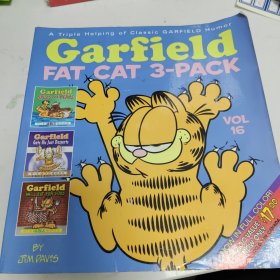 Garfield Fat Cat 3 Pack 16加菲猫系列