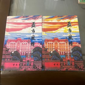 聶市風(fēng)情 （上下卷）