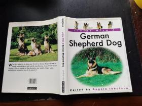 German Shepherd Dog（正版现货，内页无字迹划线）