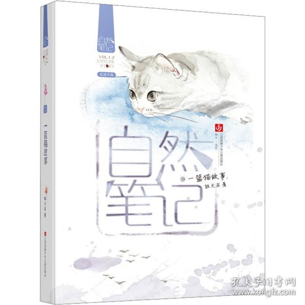 一篮猫故事 儿童文学 桂文亚 新华正版