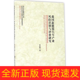 我國新能源汽車產(chǎn)業(yè)風(fēng)險識別與評價研究