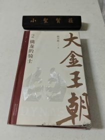 大金王朝2擒龙的骑士