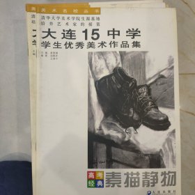 大连15中学学生优秀美术作品集-素描静物