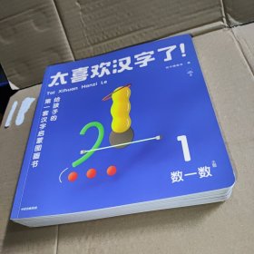 太喜欢汉字了！给孩子的第一套汉字启蒙图画书（套装共10册）