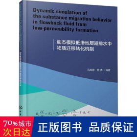 动态模拟低渗地层返排水中物质迁移转化机制 化工技术 作者