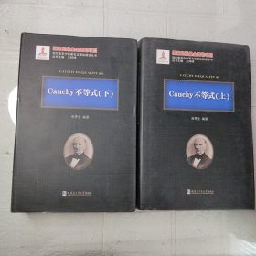 现代数学中的著名定理纵横谈丛书 Cauchy不等式 上下