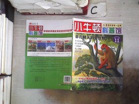 小牛顿科普馆：鼻孔朝天的金丝猴11