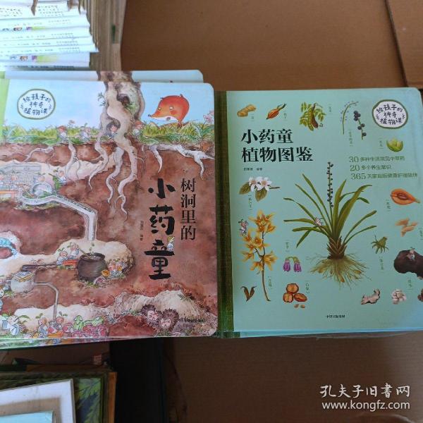 小药童的秘密花园（套装全两册，含：树洞里的小药童、小药童植物图鉴）